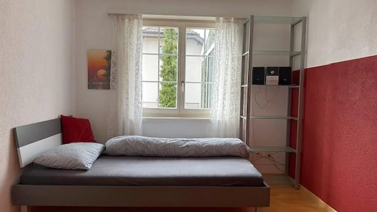 APPARTAMENTO 4½ LOCALI A ST. ERHARD (LU), ARREDATO, TEMPORANEO - Foto 6 di 8