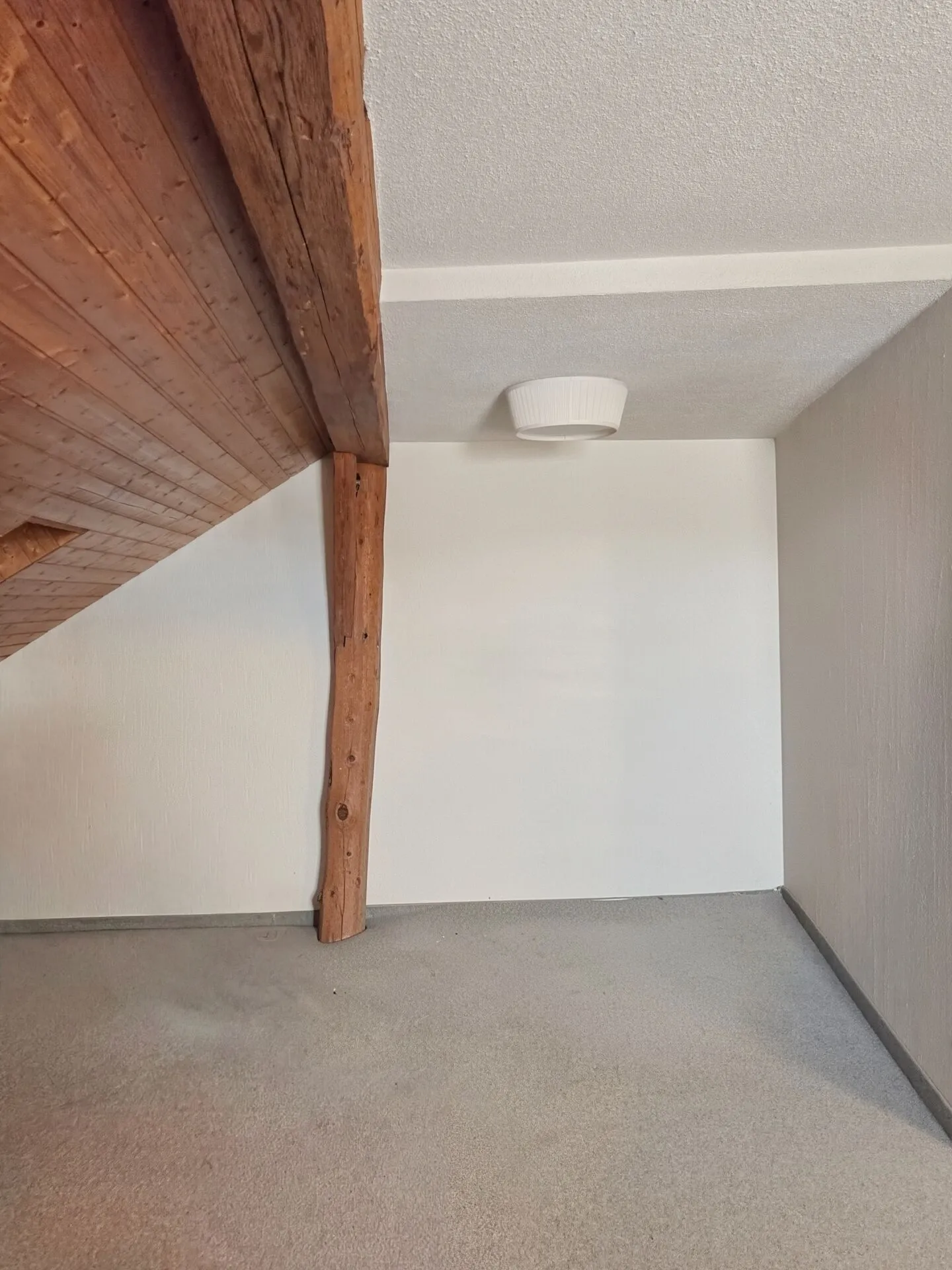 Charmante 3.5 Zimmer Wohnung - Foto 5 von 6
