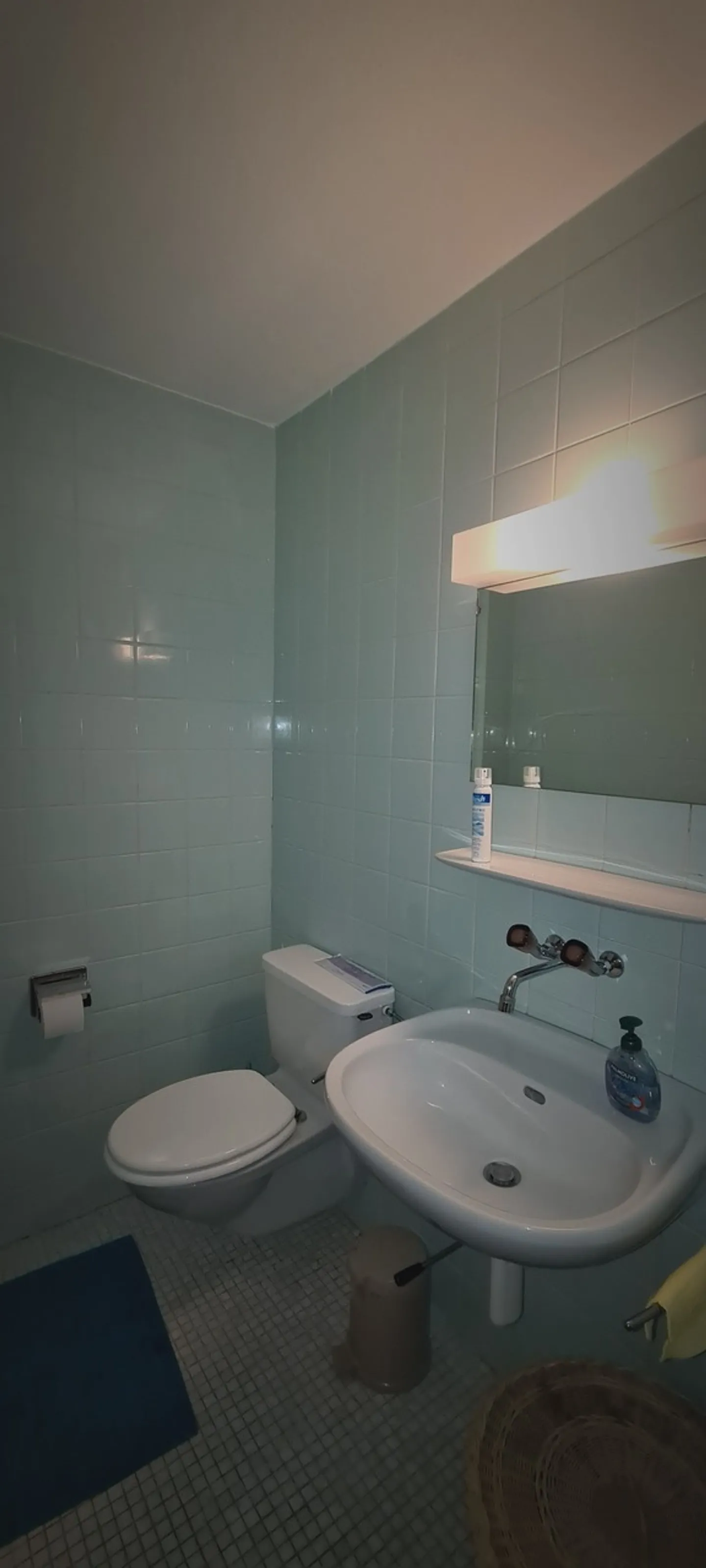 Ampio appartamento di 2,5 locali di 62 m2 + balcone di 11 m2 + posto auto nel garage interno - Foto 3 di 29