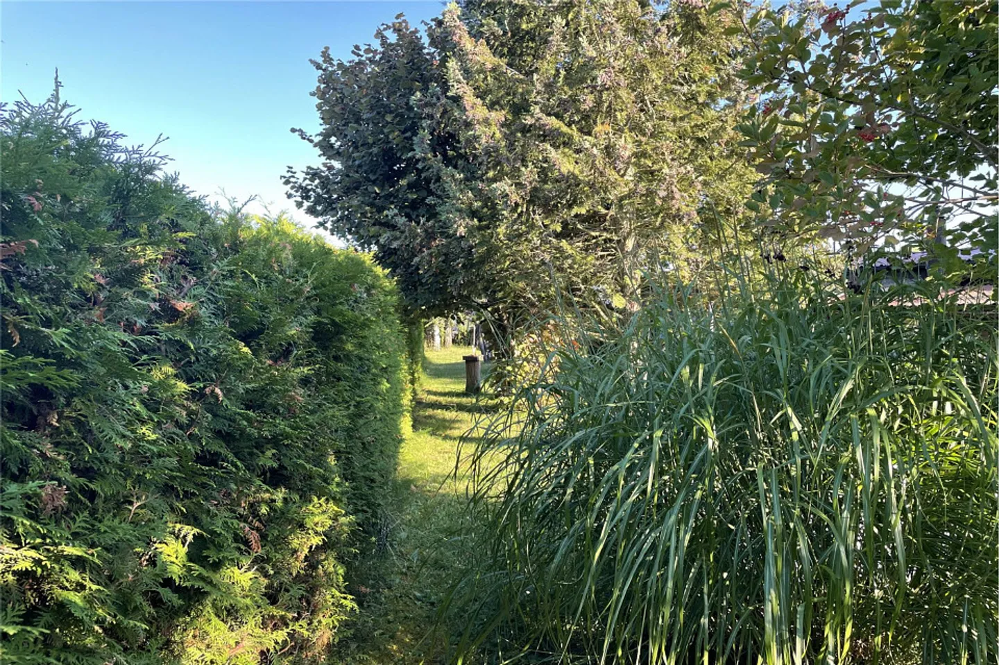 Freizeitgrundstück in Caravaning-Gebiet Ideale Lage südlich des Neuenburgersees - Foto 2 von 10