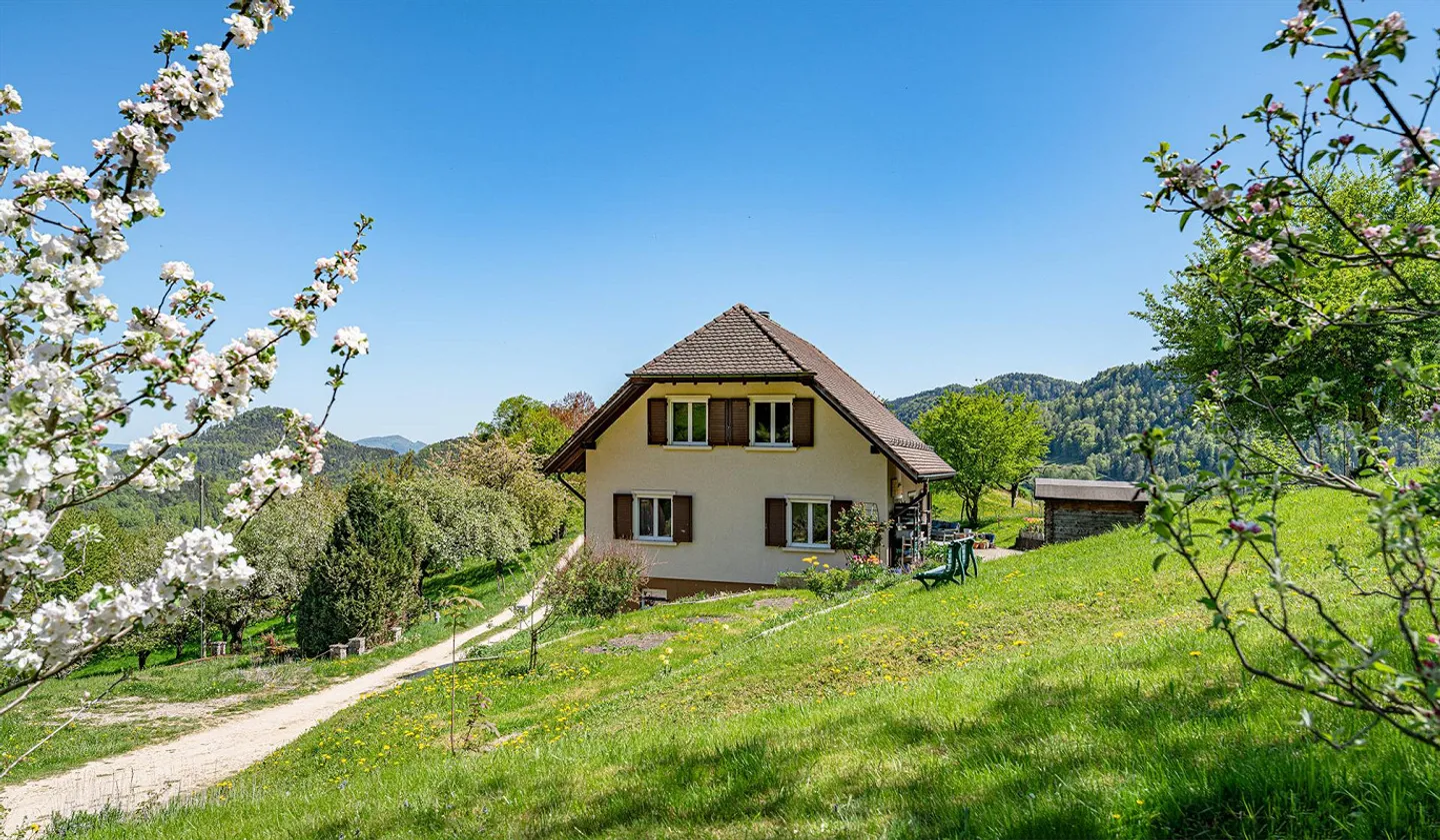 Peaceful Property in the Green Paradise - Photo 2 of 5