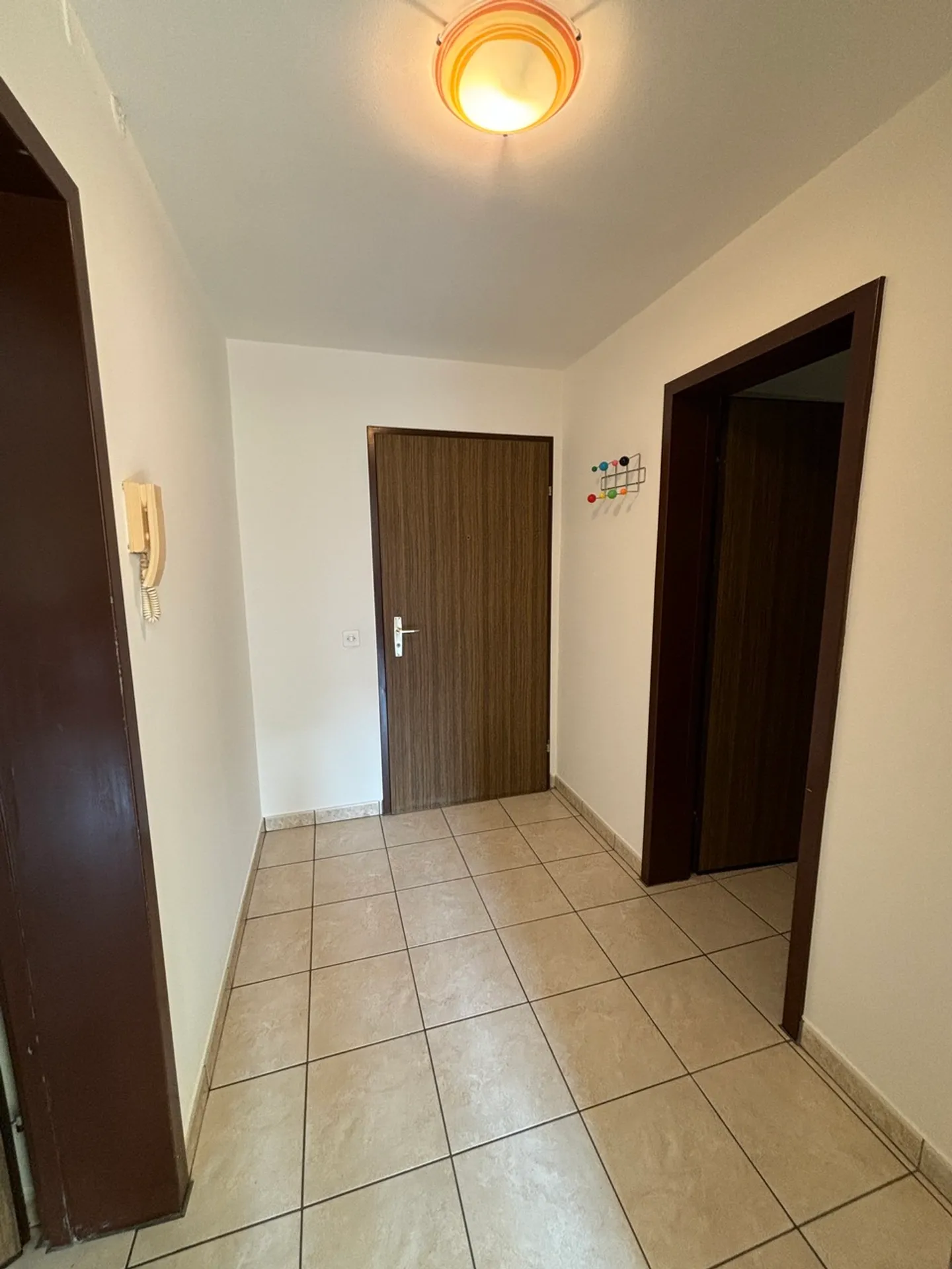 Spacious 1.5-room apartment in Arbedo - Photo 5 of 6