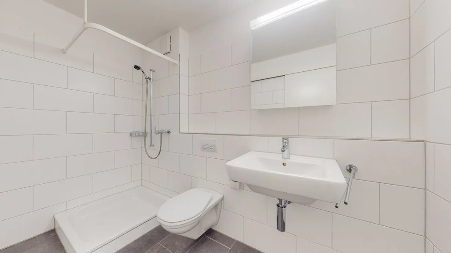 Geräumige Wohnung in Oberwinterthur - Foto 3 von 10