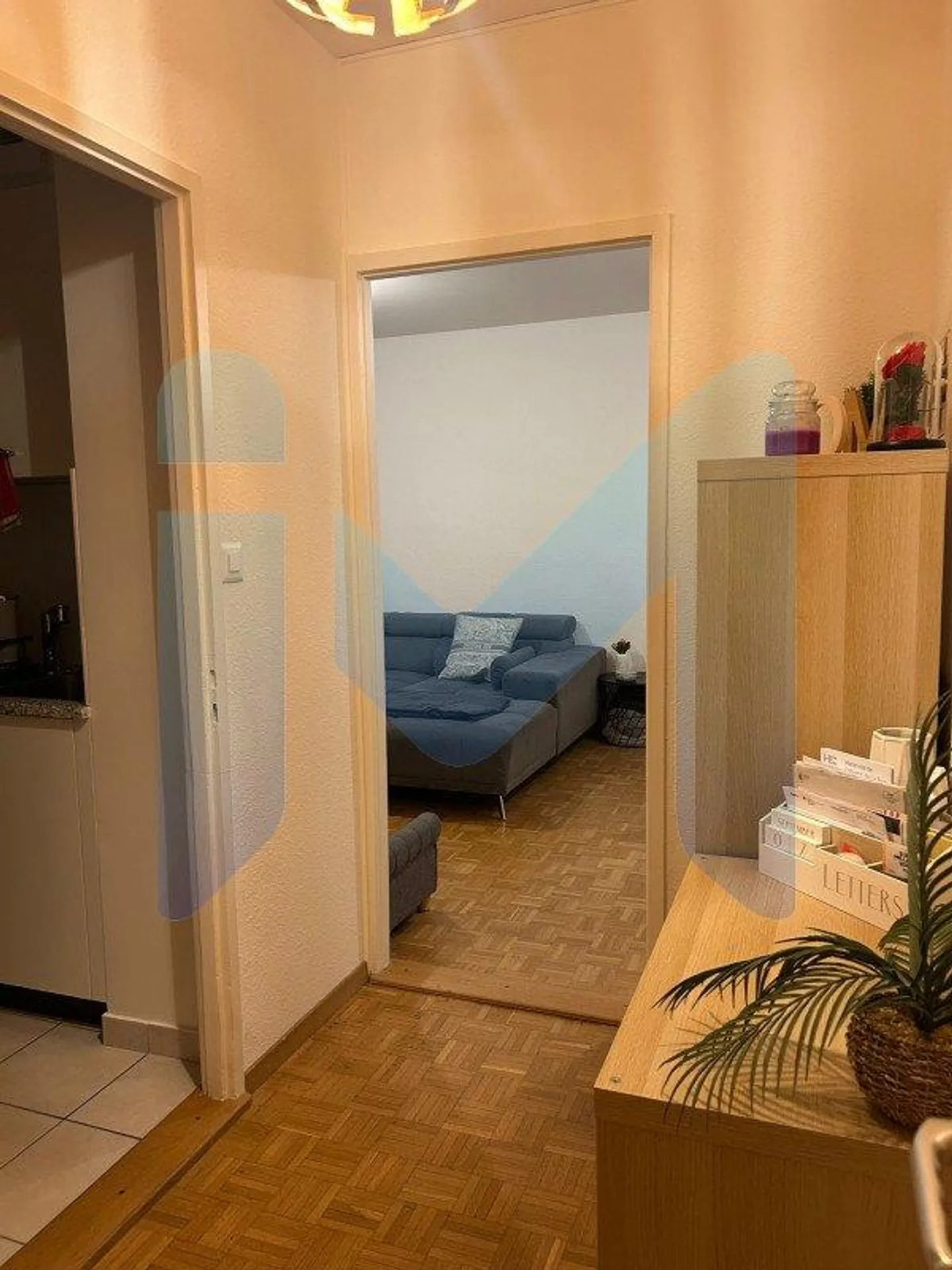 Appartement lumineux de 3 pièces à Onex - Photo 3 sur 6