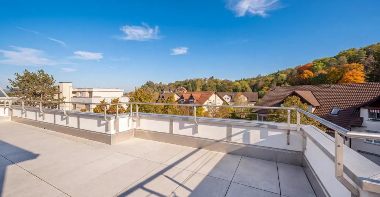 Beautiful penthouse apartment is looking for you! - Photo 3 of 11