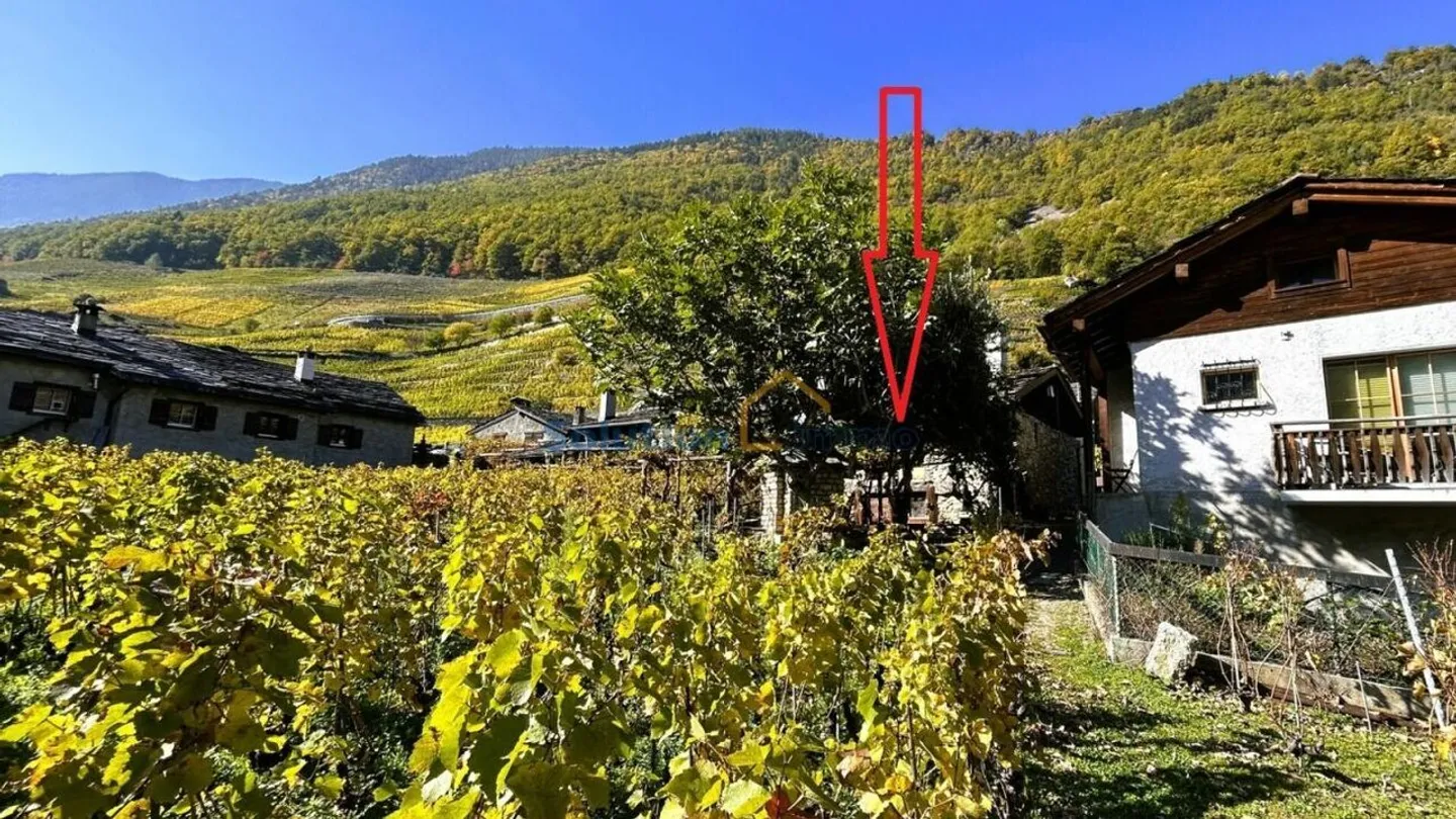 Haus im Herzen von Plan-Cerisier - Foto 7 von 14