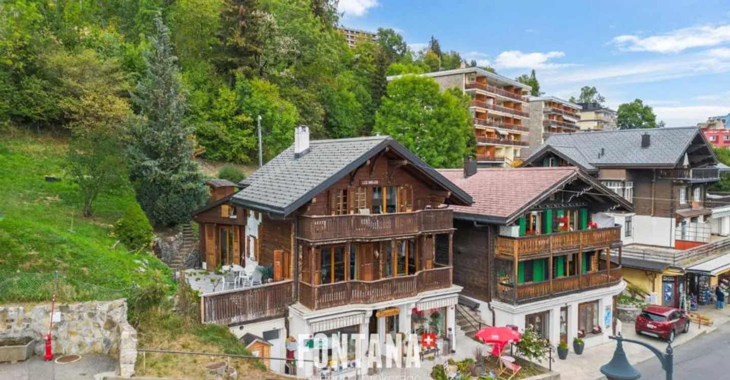 Charming Chalet with Rental Income - Photo 1 of 12