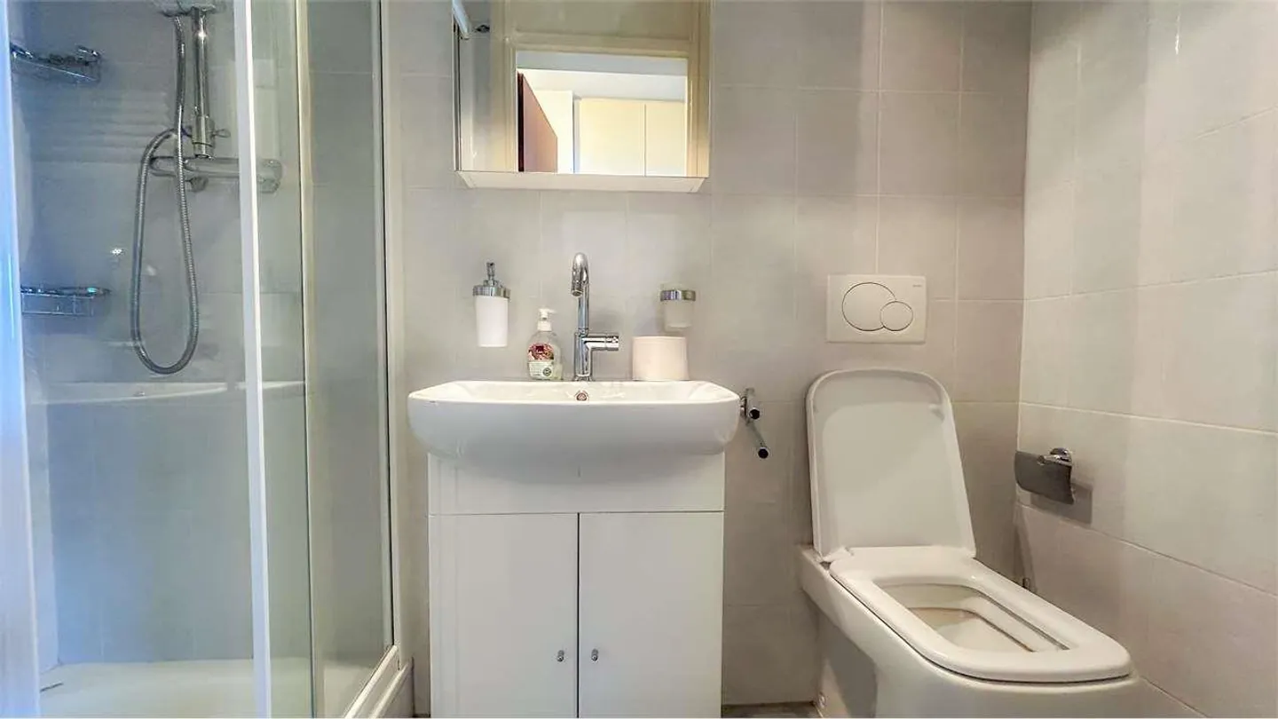 Elegant 3.5-Room Apartment with Lake View and Terraces - Photo 11 of 13