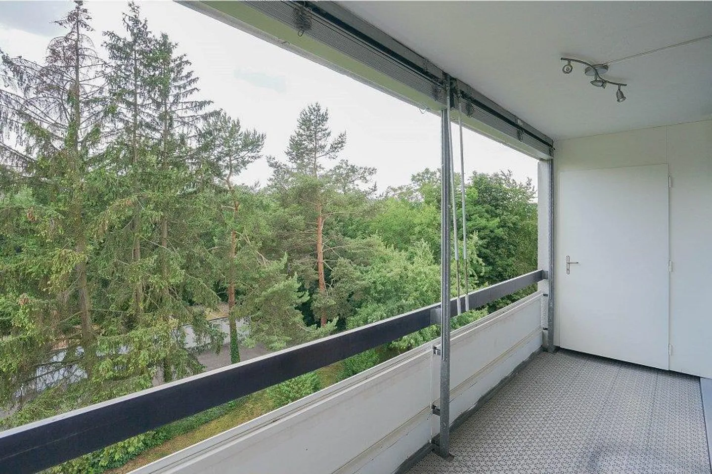 Nel cuore di Frick! - Foto 3 di 13