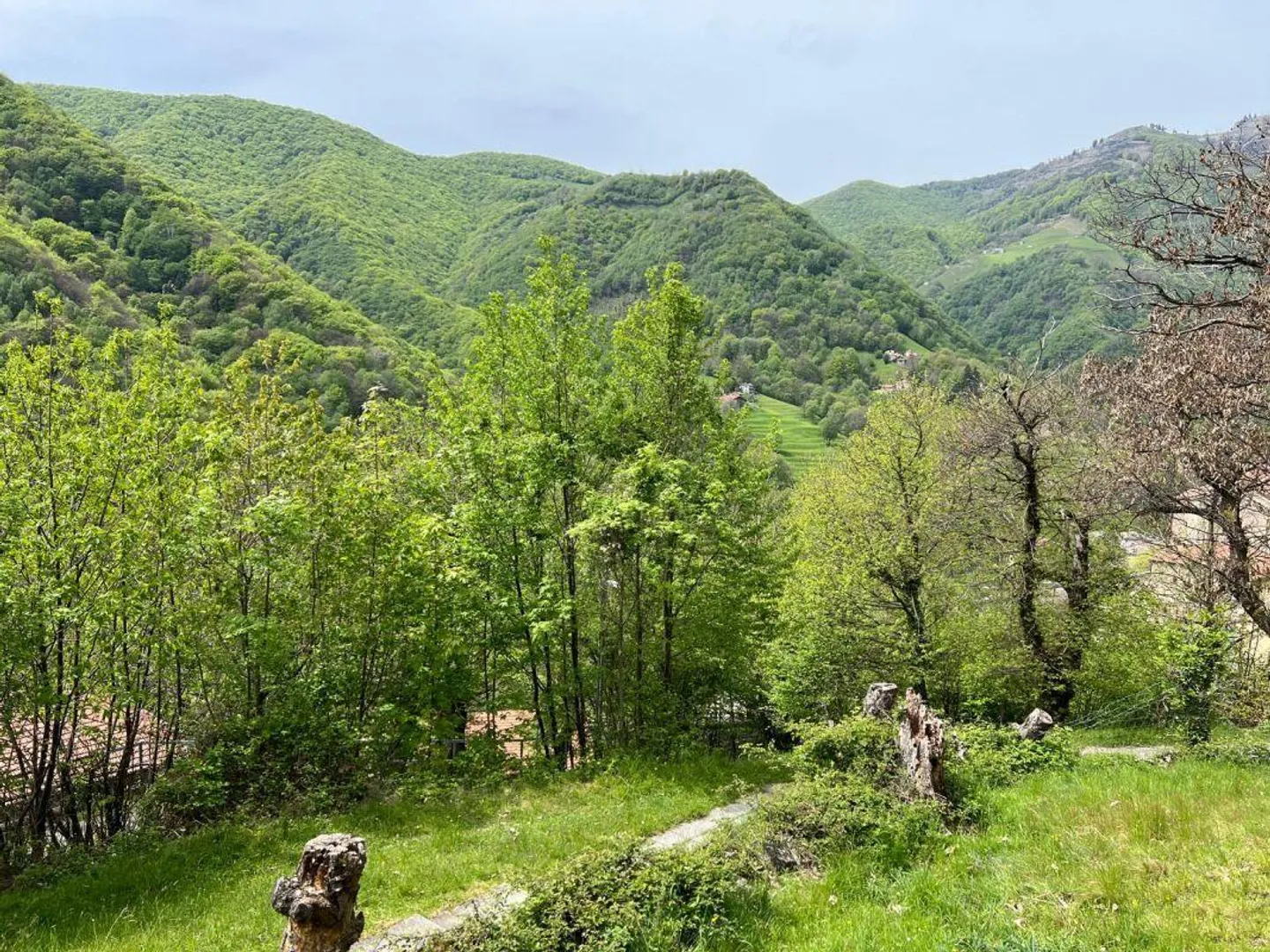 Terrain de 1'870 m² dans un emplacement élevé et ensoleillé - Photo 1 sur 2