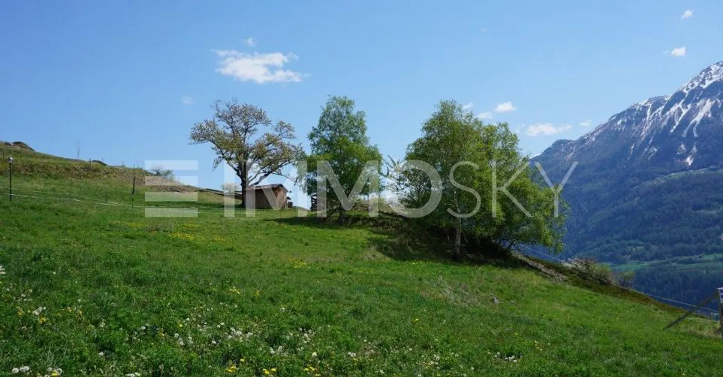 4.5 stanze con terrazza e vista (n. 11a) - Foto 3 di 4
