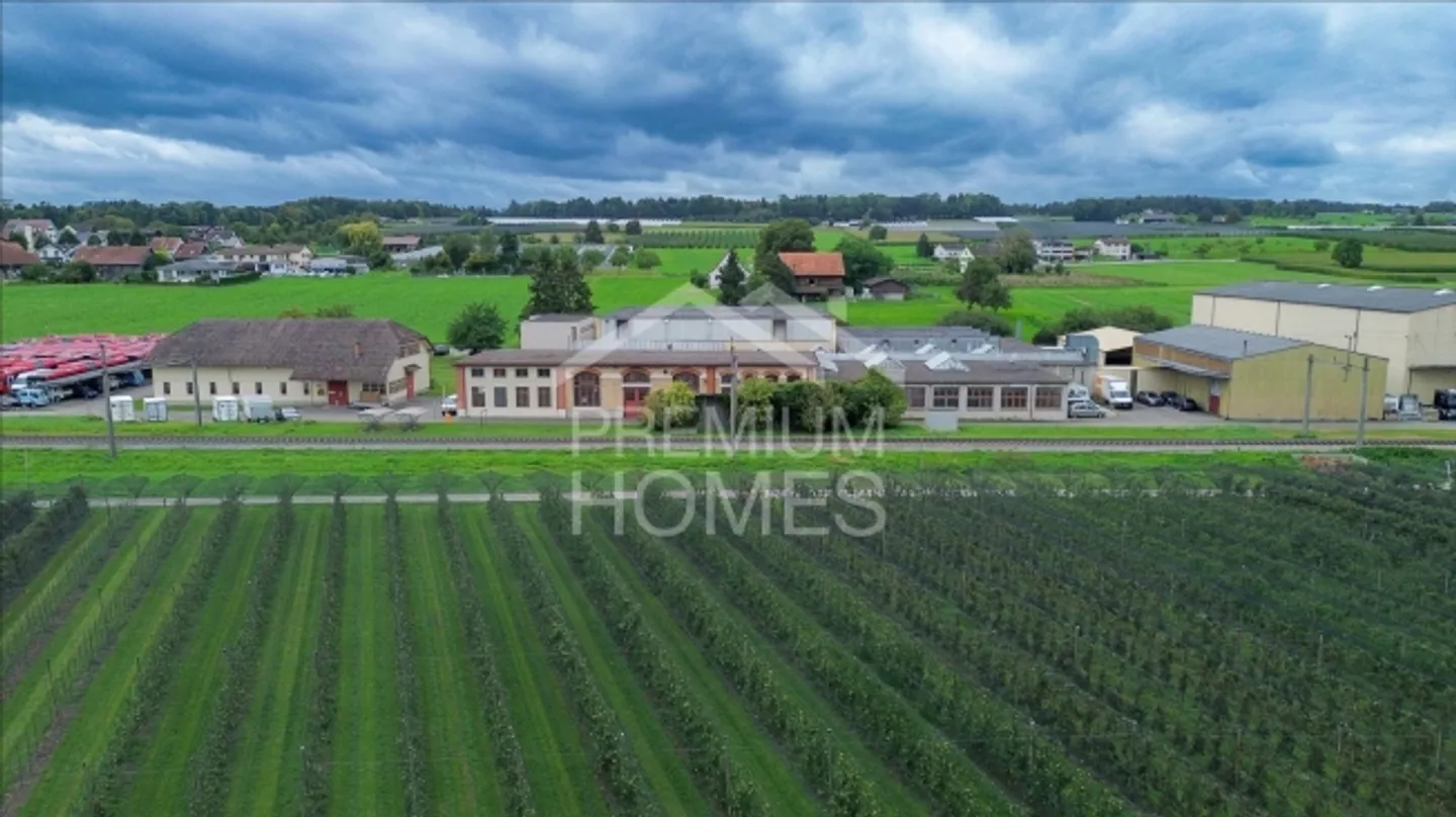 NEW LOCATION FOR SUCCESS AT LAKE CONSTANCE - Photo 2 of 3