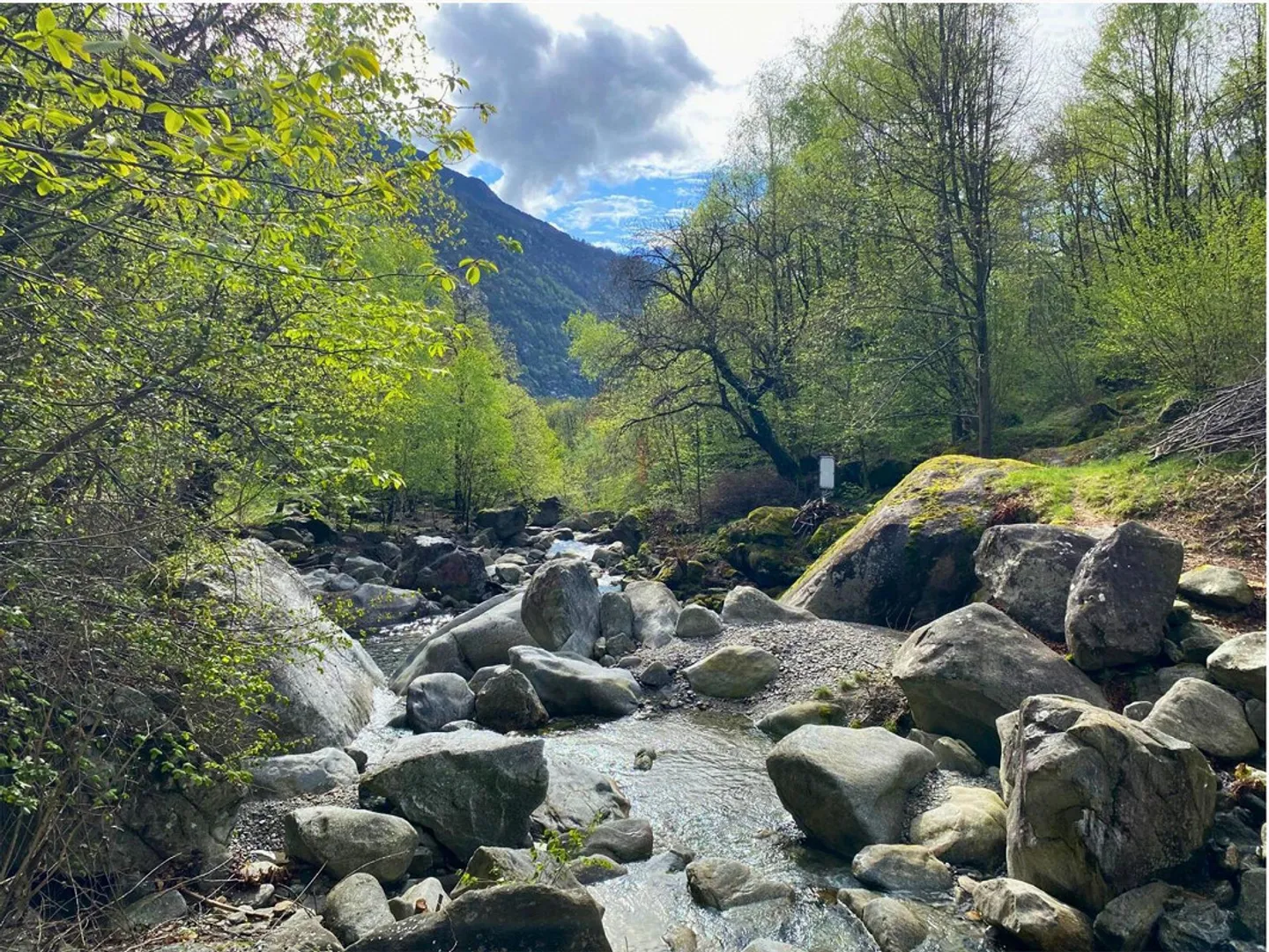 OCCASIONE IRRIPETIBILE AD UN NUOVO PREZZO, COGLILA AL VOLO - Foto 5 di 10