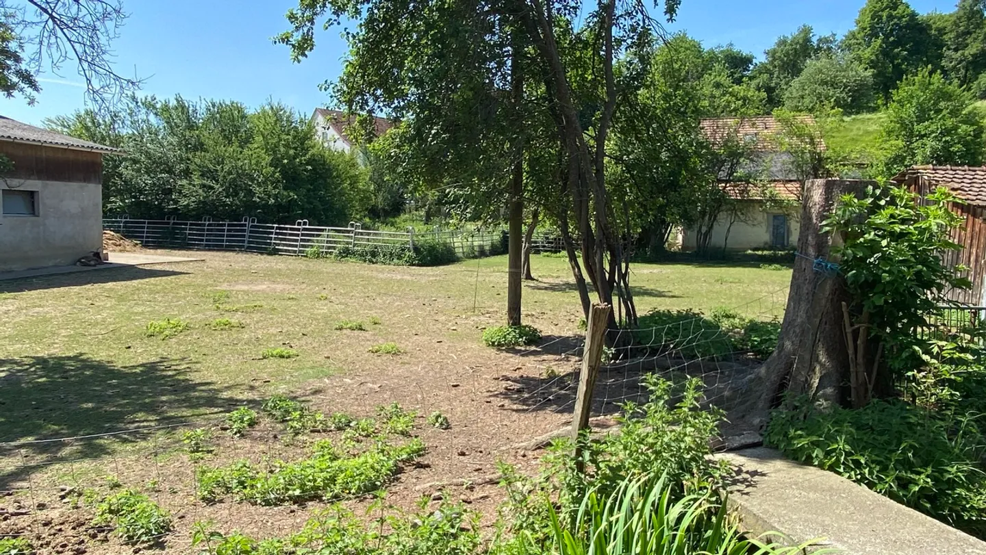 Affascinante Fattoria con Potenziale - Foto 22 di 25
