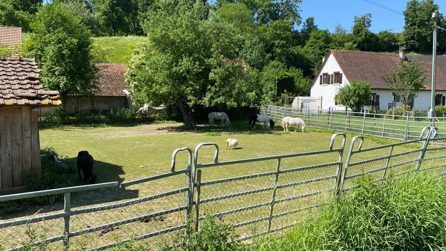 Affascinante Fattoria con Potenziale - Foto 23 di 25