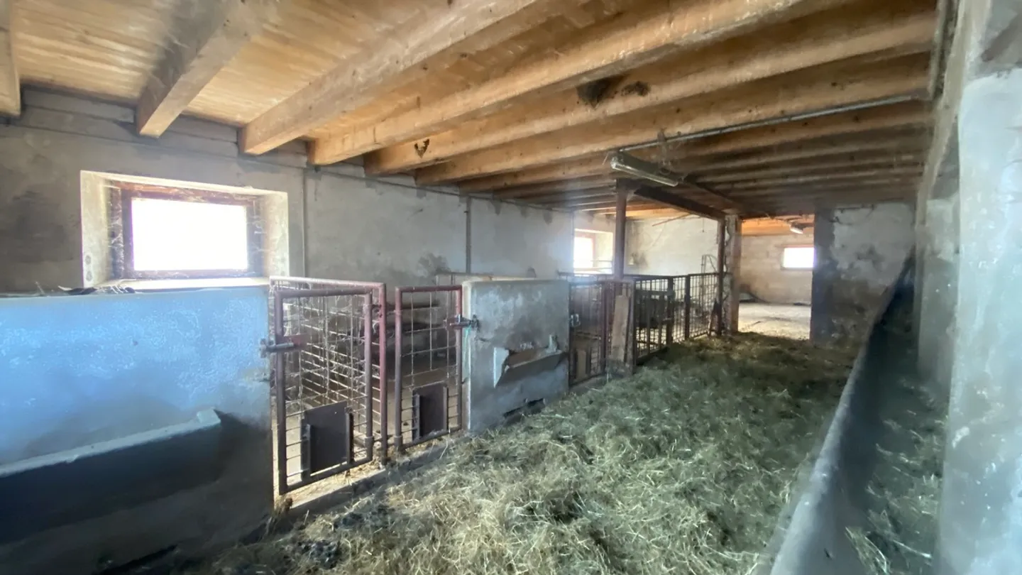 Affascinante Fattoria con Potenziale - Foto 10 di 25
