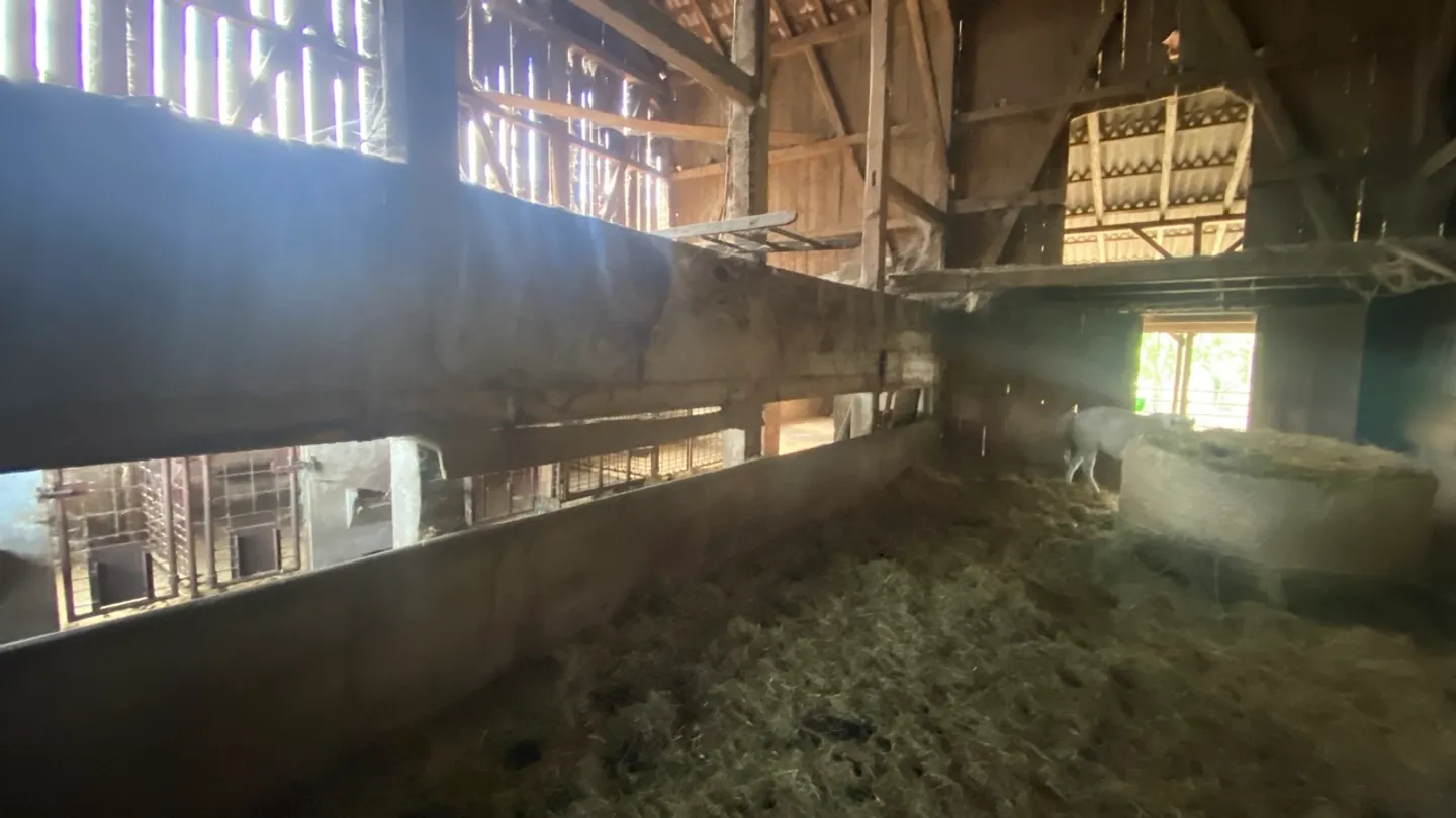 Affascinante Fattoria con Potenziale - Foto 11 di 25