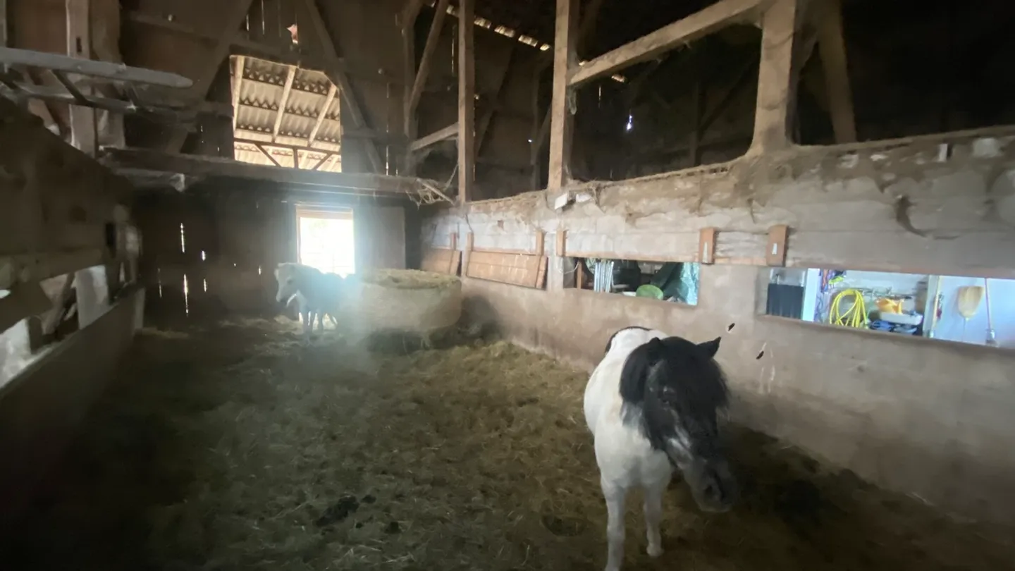 Affascinante Fattoria con Potenziale - Foto 12 di 25