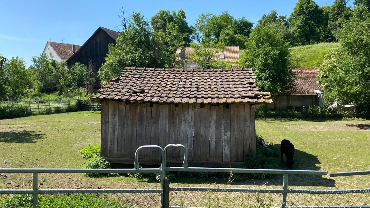 Affascinante Fattoria con Potenziale - Foto 24 di 25