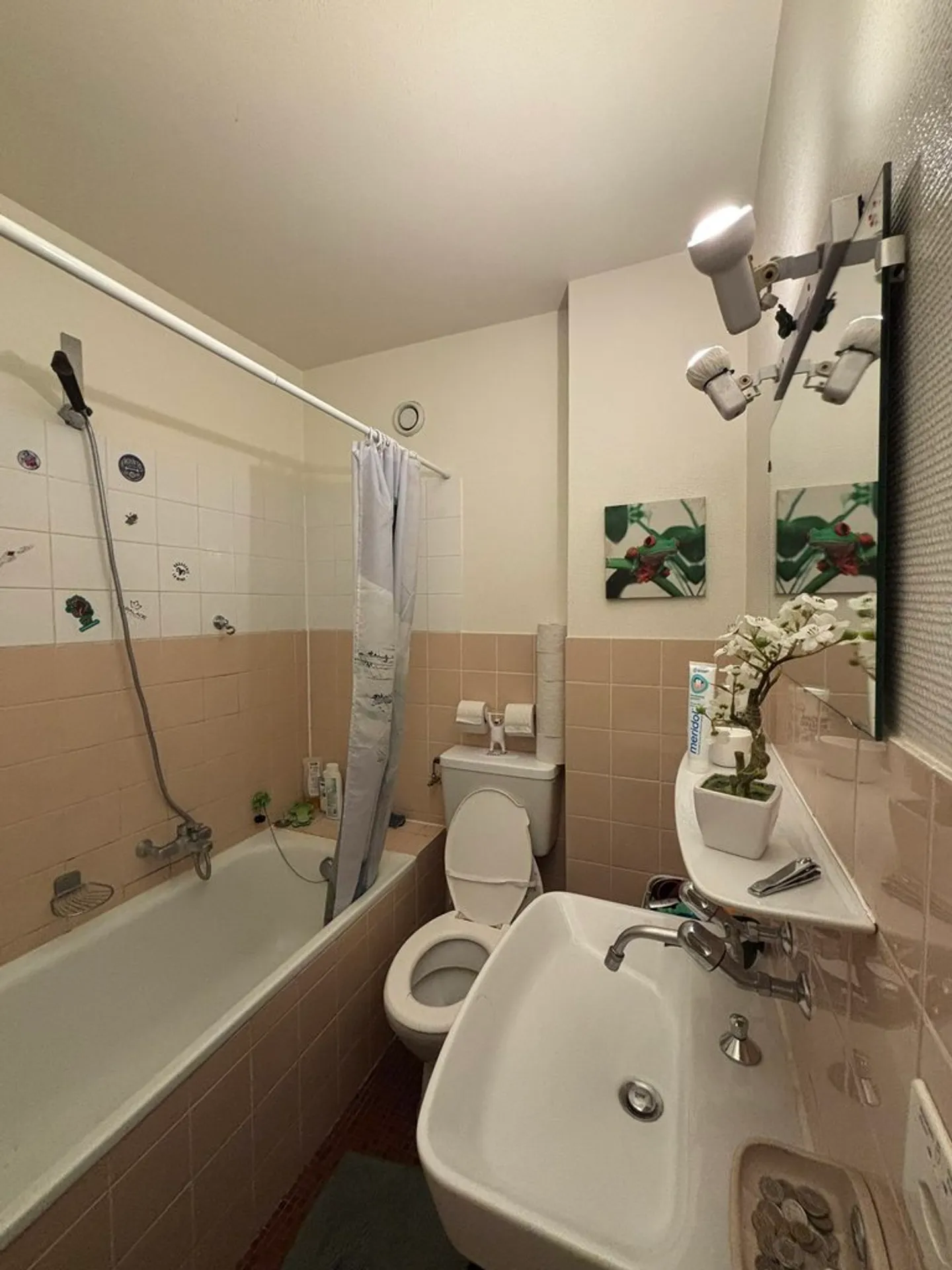 Charming 2.5-Room Apartment - Photo 5 of 6