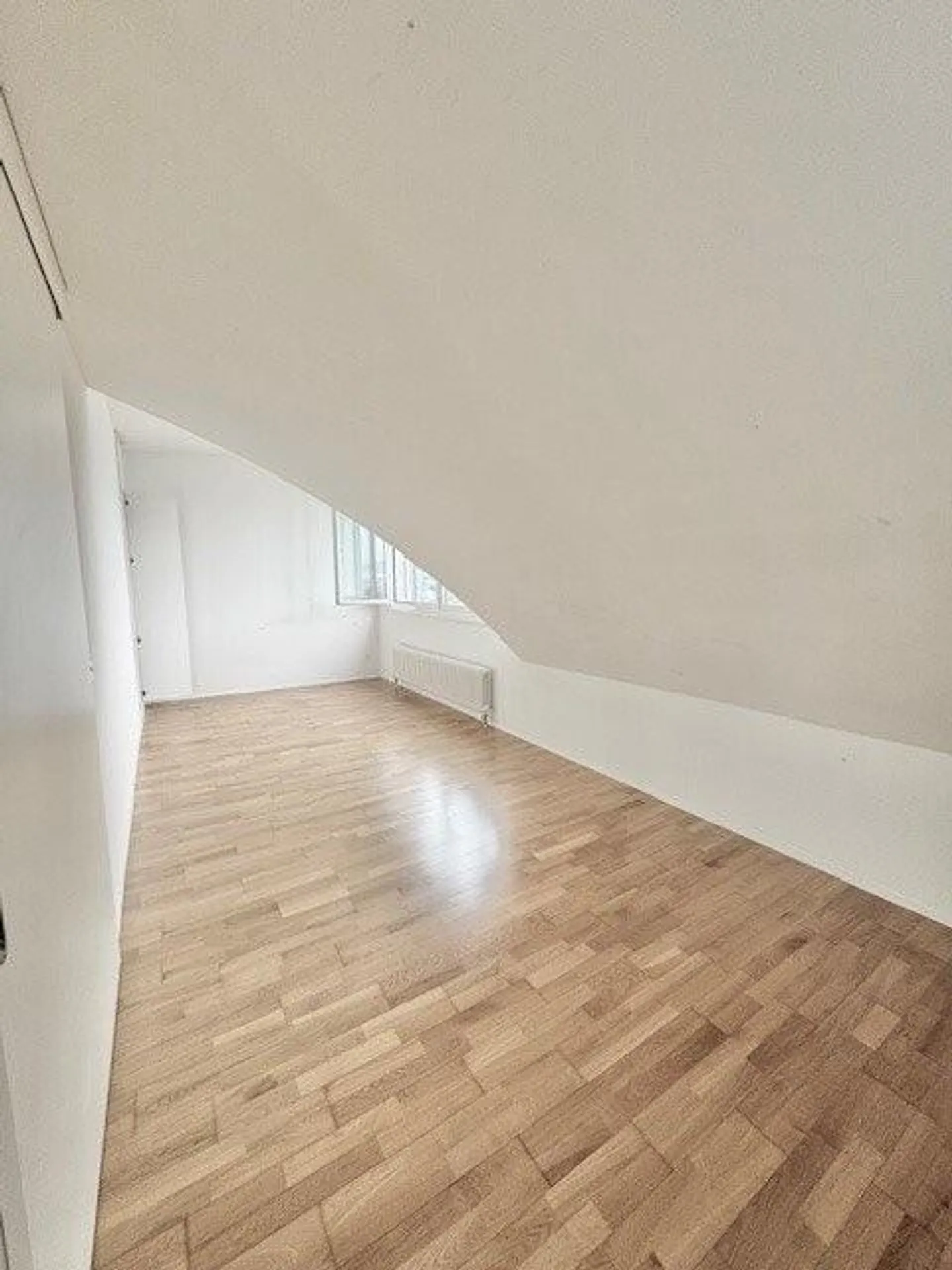 Appartamento singolo cerca residente - Foto 3 di 10