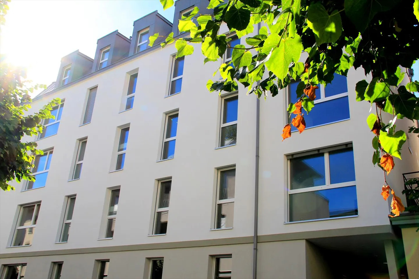 Appartement 3.5 pièces - Photo 1 sur 5