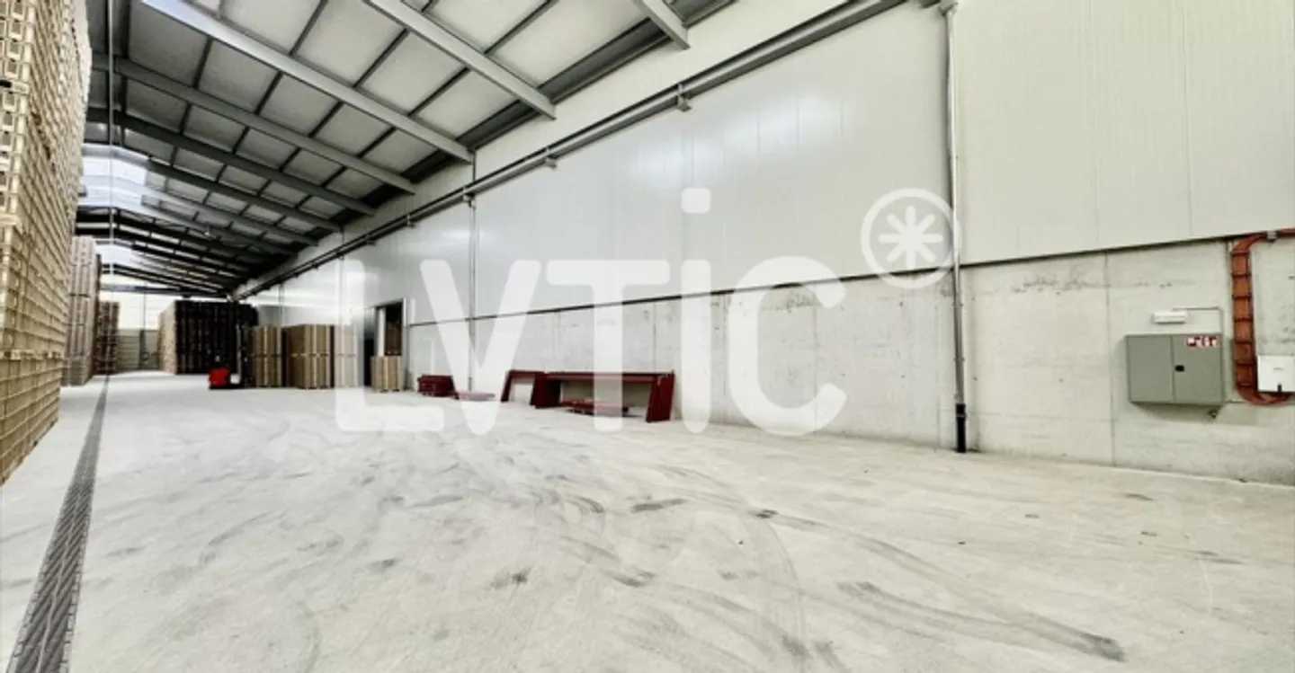 Warehouse - Photo 1 of 8