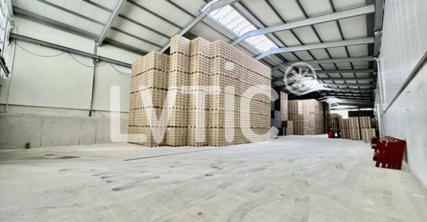 Warehouse - Photo 3 of 8