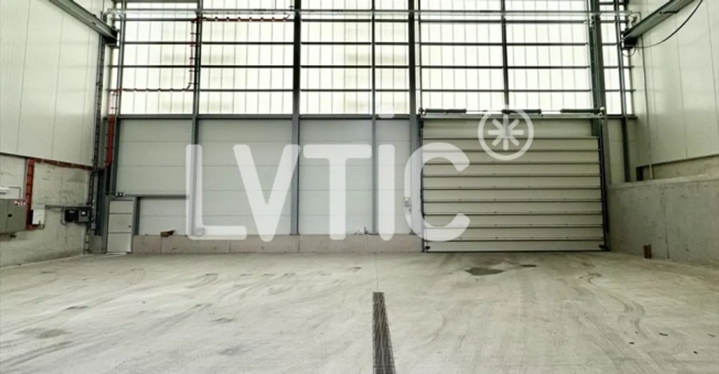 Warehouse - Photo 6 of 8