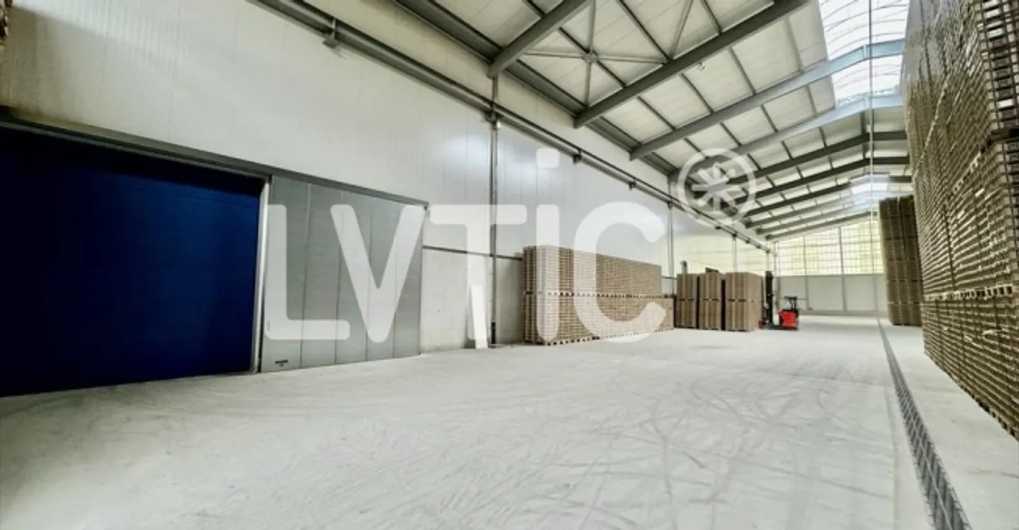 Warehouse - Photo 8 of 8