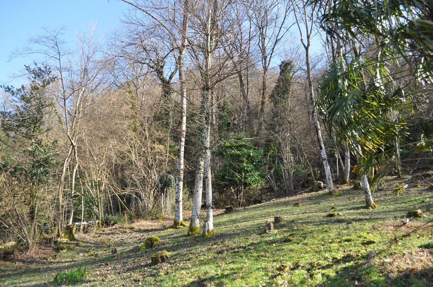 Terreno vista Lago con licenza edilizia - Photo 5 of 5