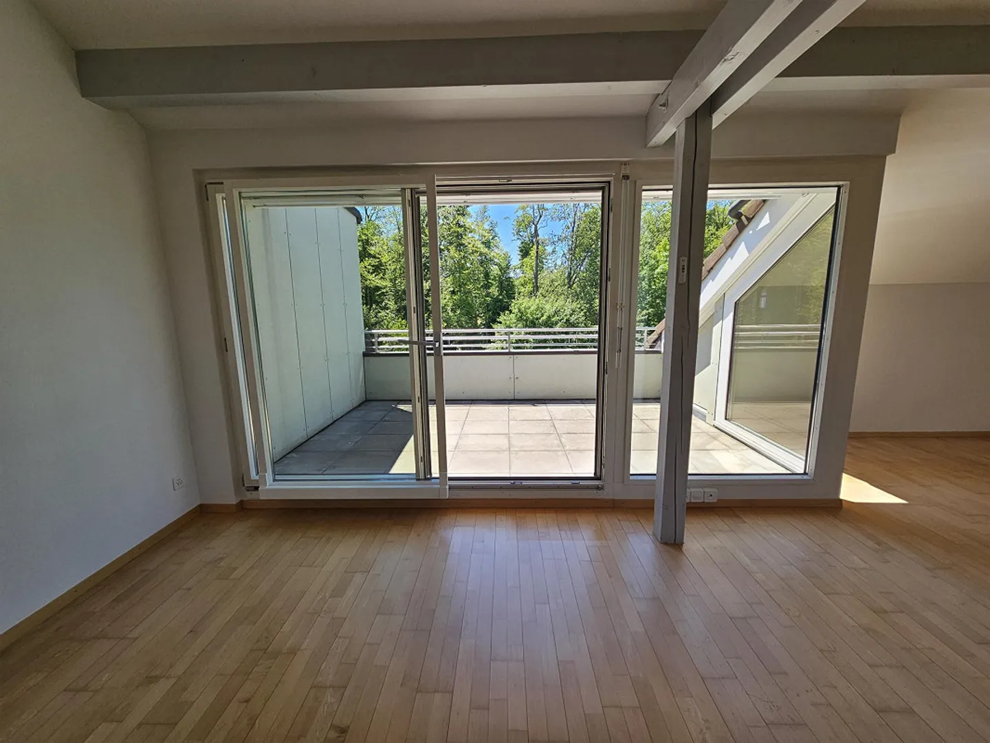 Luminoso appartamento di 5,5 stanze con vista sul verde, parquet, tranquillo e centrale - Foto 3 di 22