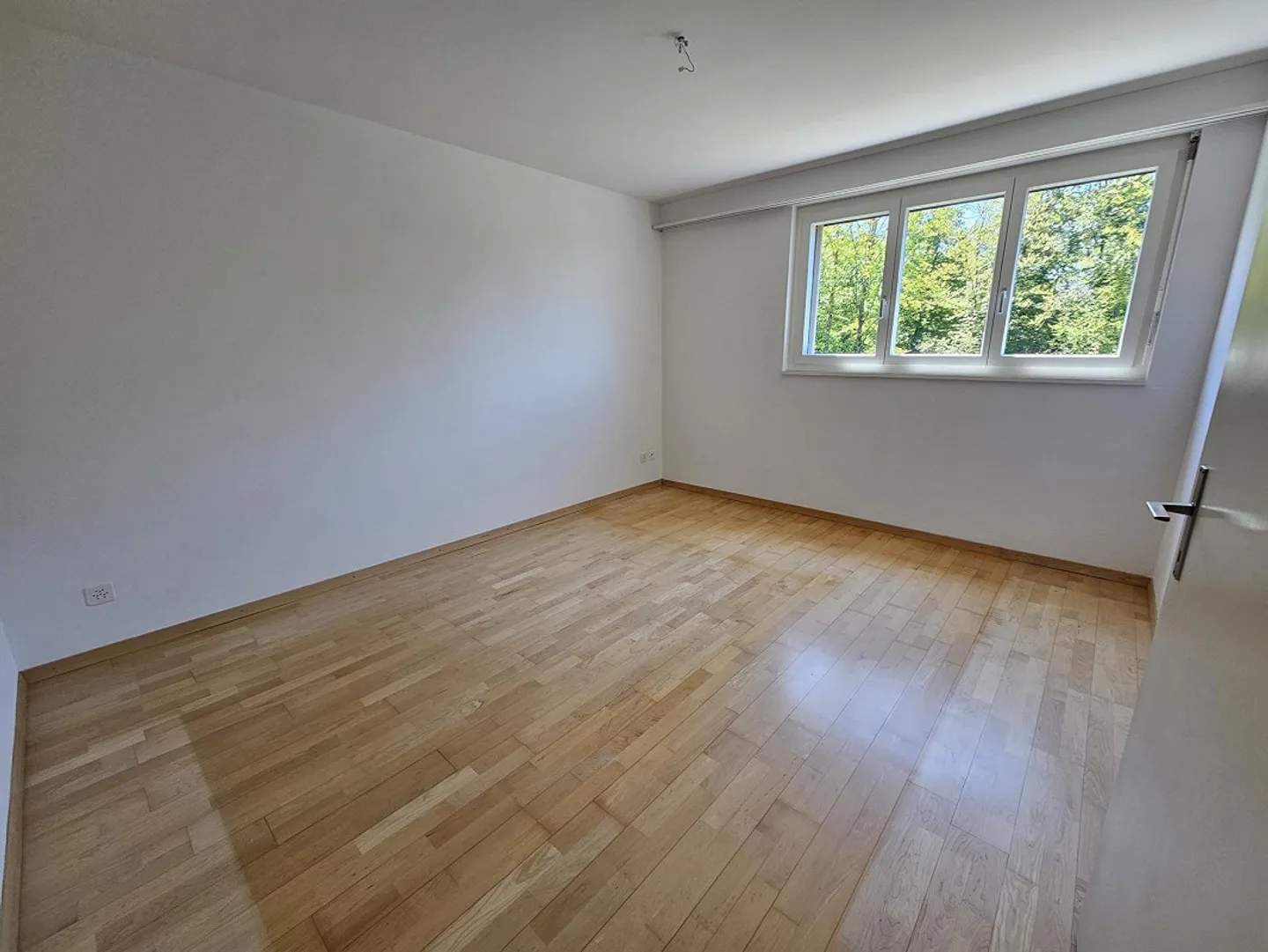 Luminoso appartamento di 5,5 stanze con vista sul verde, parquet, tranquillo e centrale - Foto 5 di 22