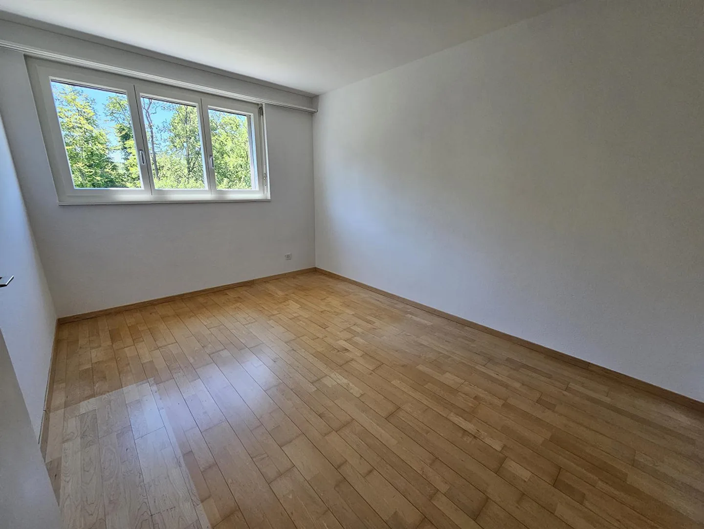Luminoso appartamento di 5,5 stanze con vista sul verde, parquet, tranquillo e centrale - Foto 6 di 22