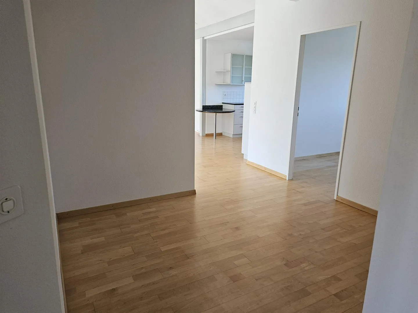 Luminoso appartamento di 5,5 stanze con vista sul verde, parquet, tranquillo e centrale - Foto 8 di 22