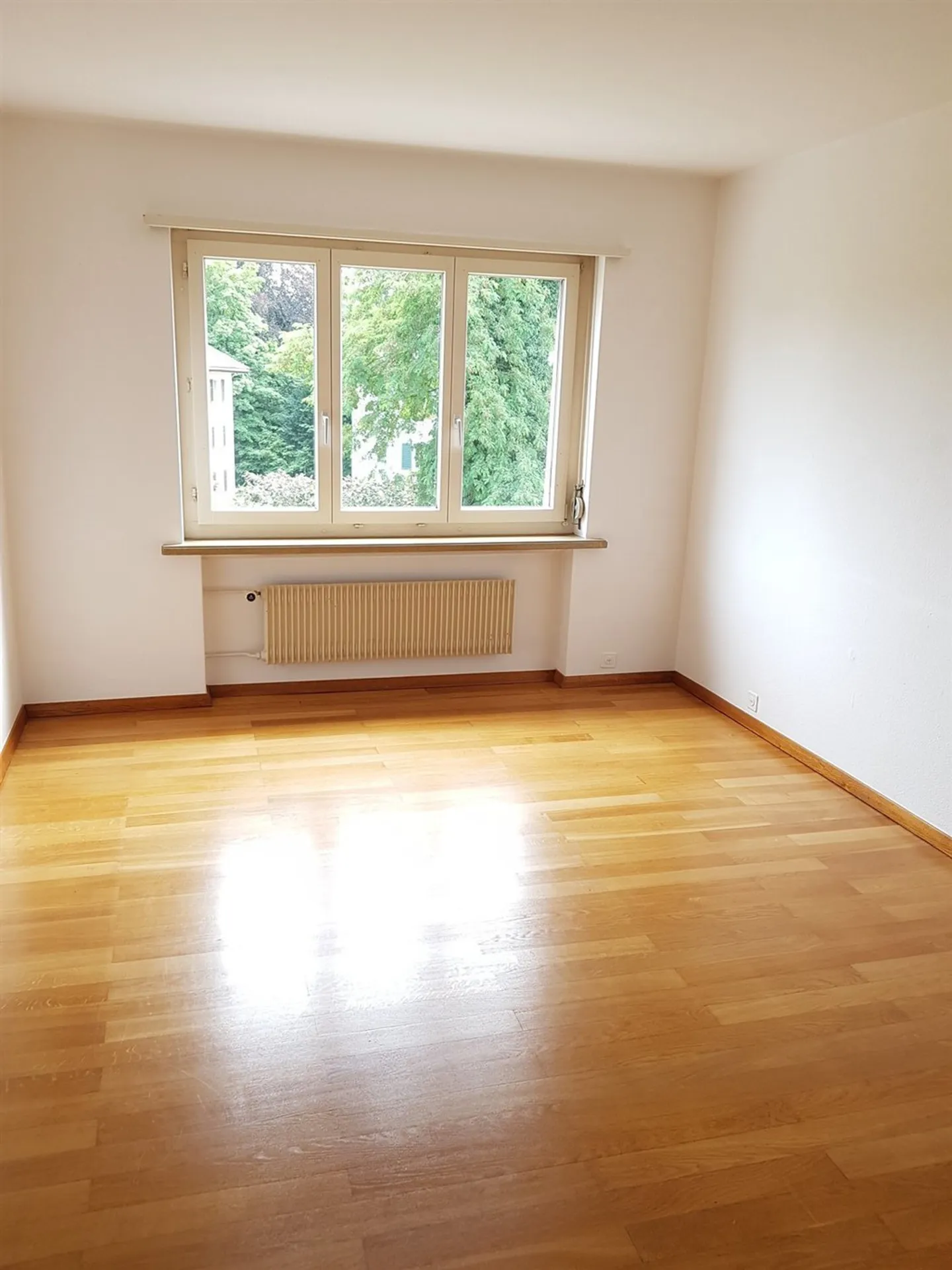 Tolle, attraktive Wohnung! - Foto 3 von 6