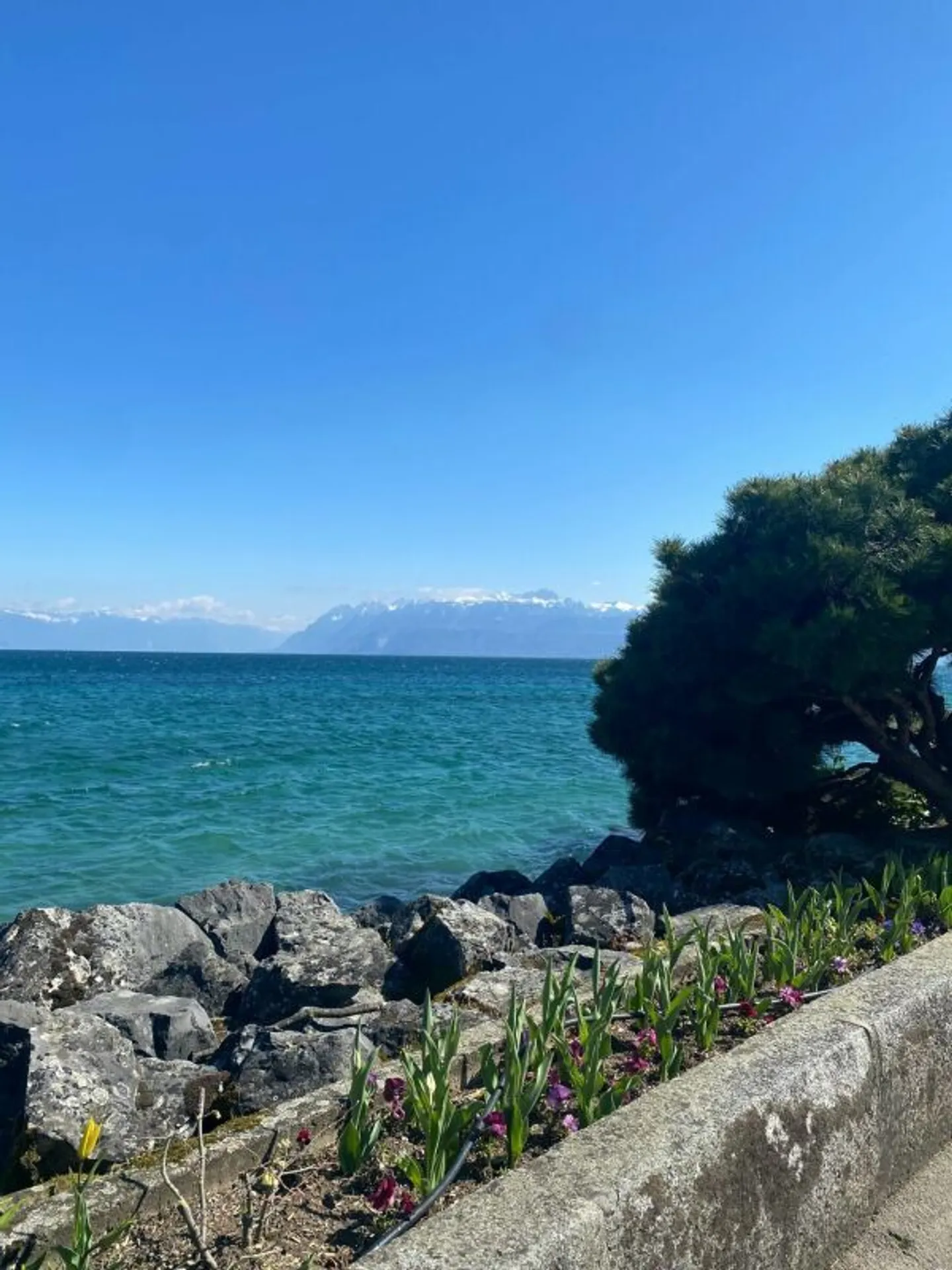 Villa nuova straordinaria a due passi dal lago - Foto 11 di 13