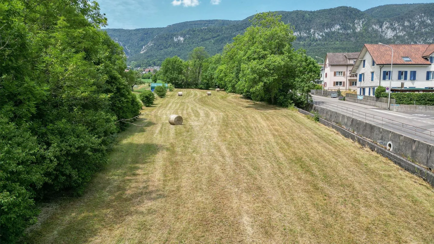 1,691 m² Land Parcel in Langendorf - Photo 6 of 8