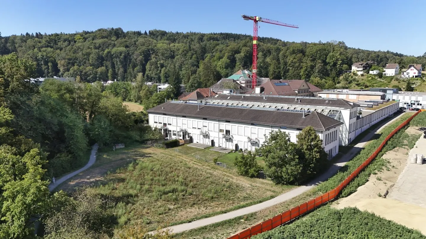 Exklusiver Loft-Traum im Walzmühle-Areal: 3.1 m Raumhöhe, Luxus-Küche & 130 m² Privatgarten - Foto 21 von 25