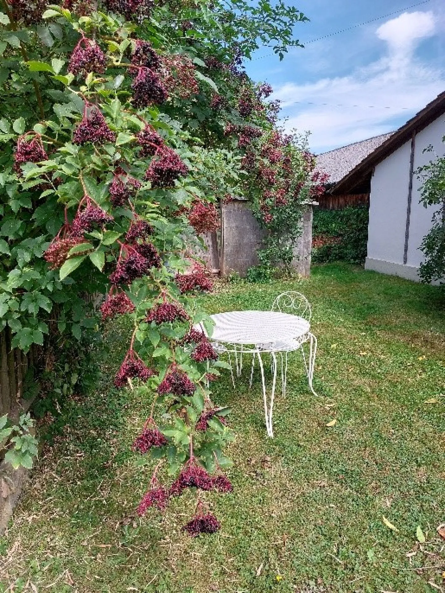 4.5-room apartment on the 1st floor - Photo 13 of 13