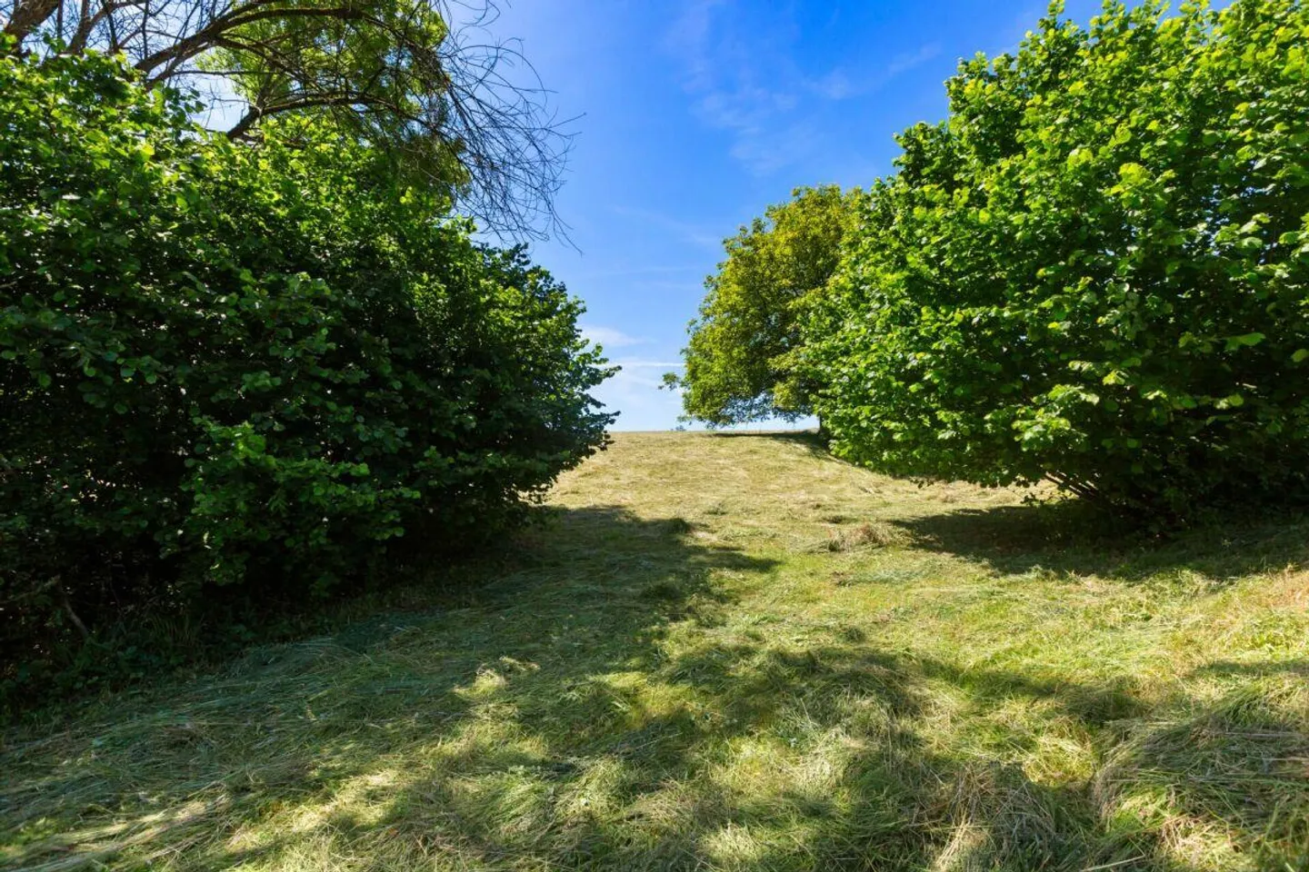 Terrain à bâtir avec potentiel pour des idées résidentielles de haute qualité - Photo 4 sur 11