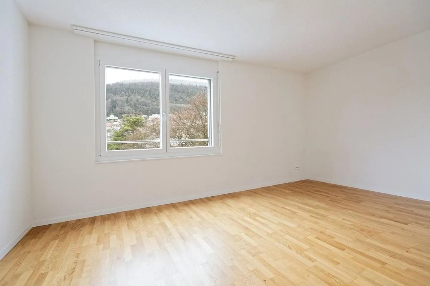 Dream apartment with terrace - Photo 3 of 9