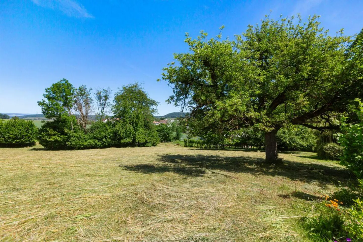 Terrain à bâtir avec potentiel pour des idées résidentielles de haute qualité - Photo 6 sur 11
