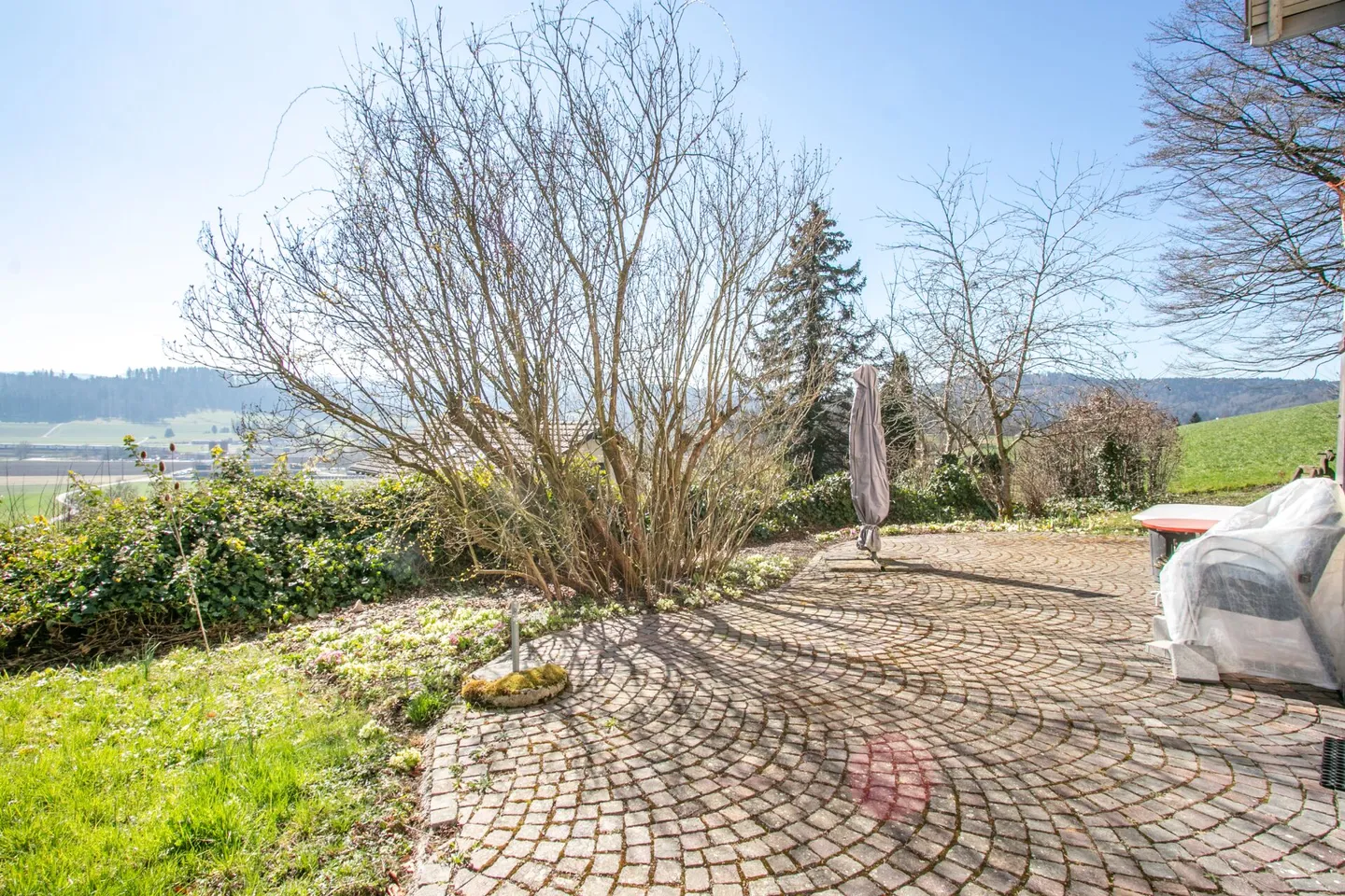 Unique Ensemble: Historic Home Happiness and Creative Freedom - Photo 2 of 36