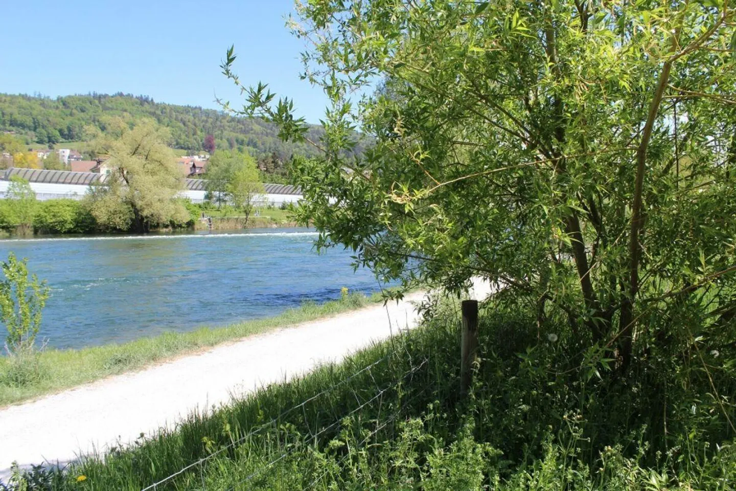 «RIVERSIDE» - Foto 1 von 17