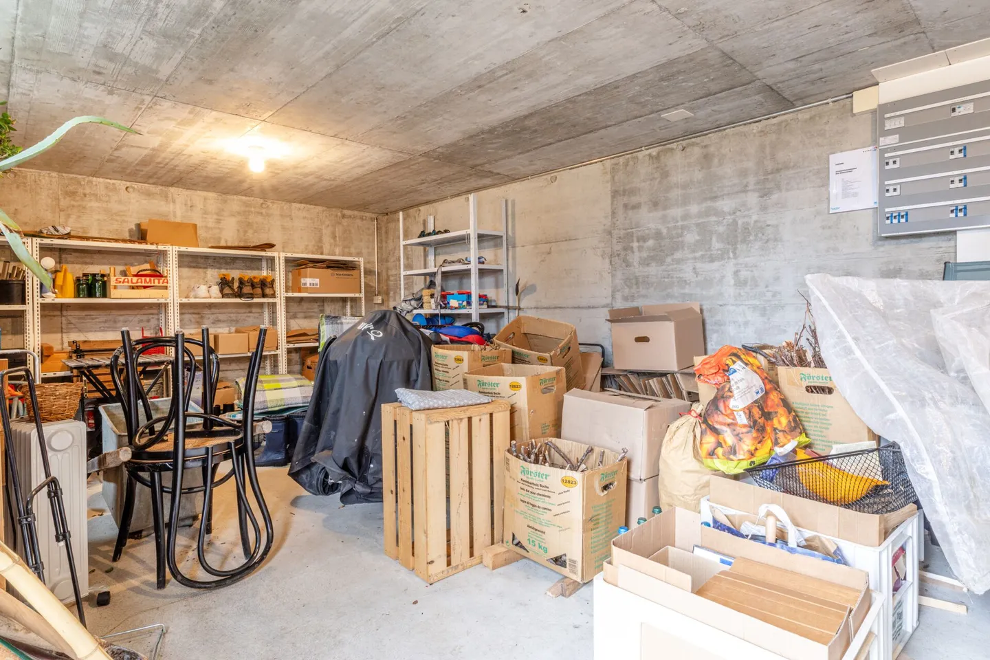 Unique Ensemble: Historic Home Happiness and Creative Freedom - Photo 28 of 36