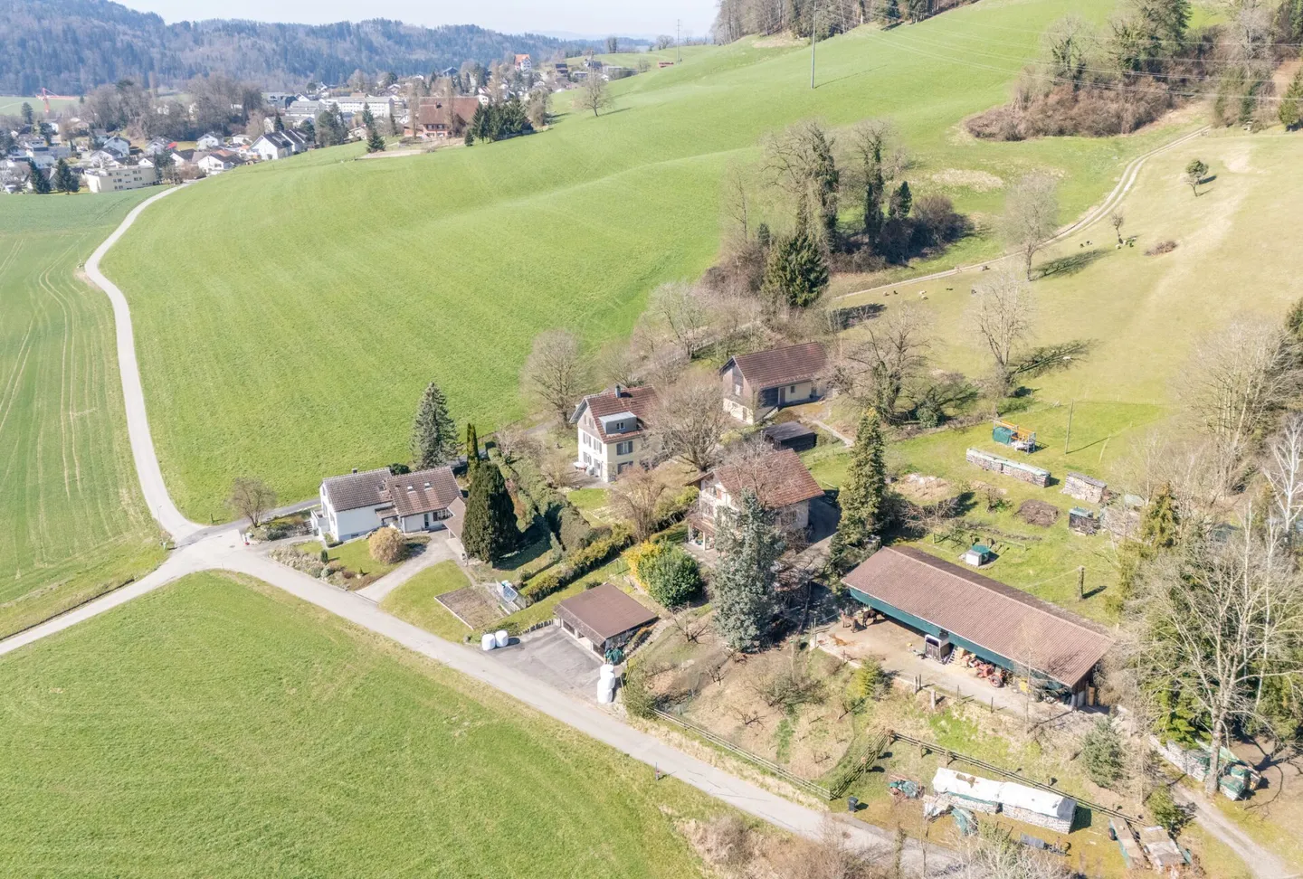 Unique Ensemble: Historic Home Happiness and Creative Freedom - Photo 31 of 36