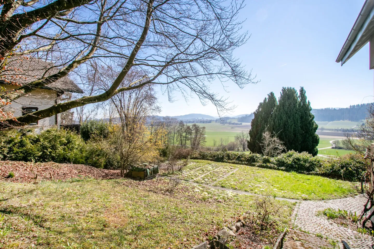 Unique Ensemble: Historic Home Happiness and Creative Freedom - Photo 34 of 36