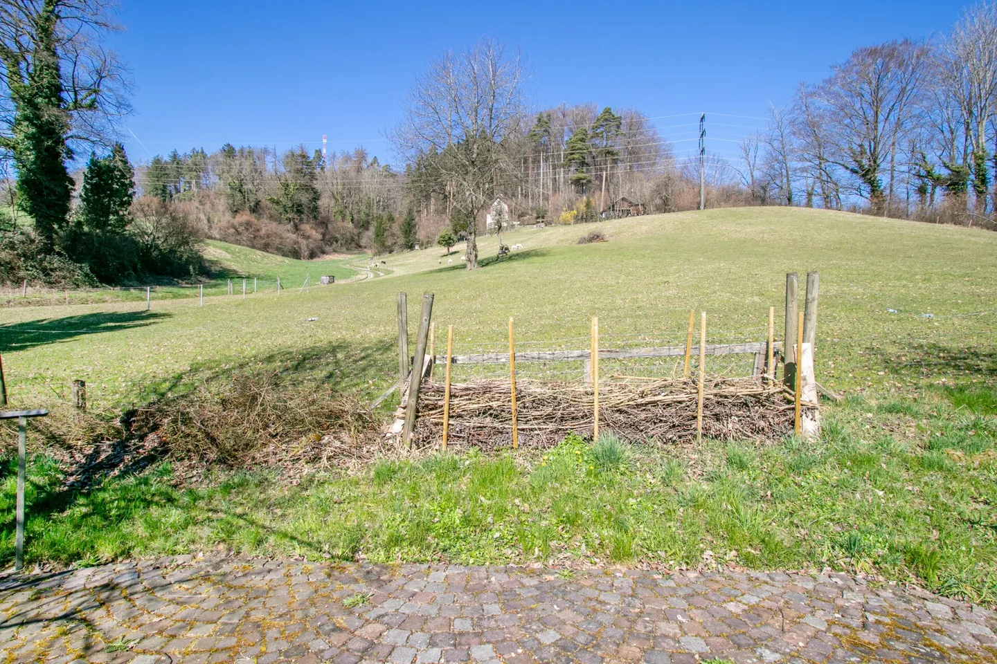 Unique Ensemble: Historic Home Happiness and Creative Freedom - Photo 35 of 36