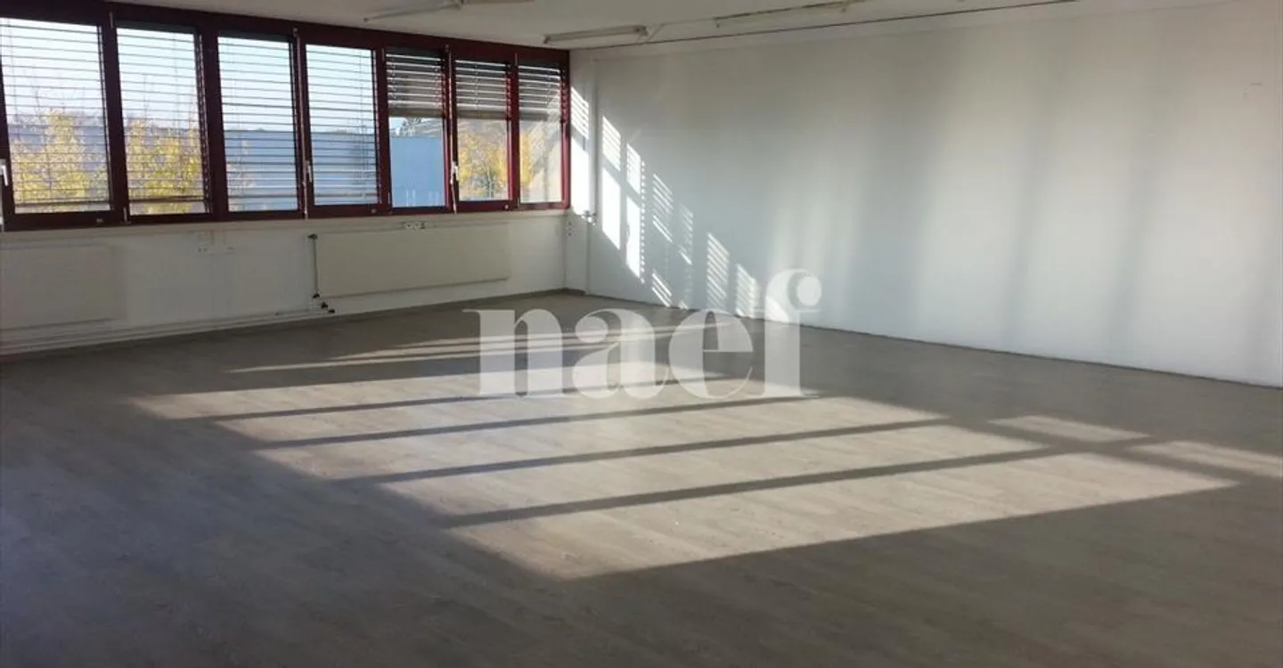 Edificio ad uso misto in affitto - Foto 3 di 4